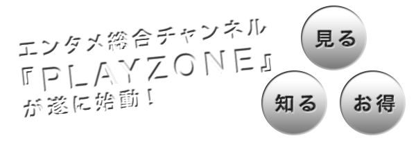 プレイゾーンとは