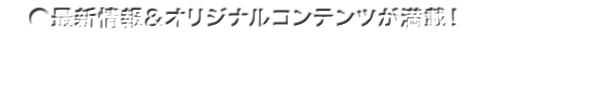 プレイゾーンとは